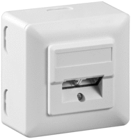 CAT 5e wandcontactdoos