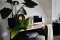 Calex Smart Ambient Light RGB+CCT