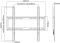 Vaste muurbeugel plat 32-55 inch tot 35kg Golden Note